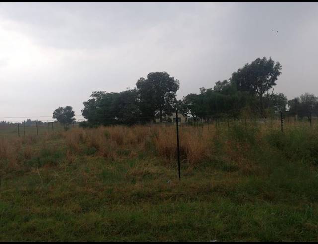 FARM FOR SALE IN HOMESTEAD APPLE ORCHARDS